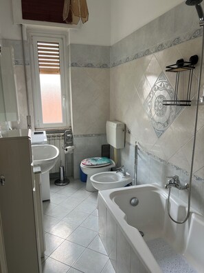 Secador de pelo, bidé, toallas y jabón