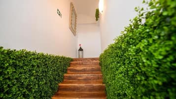 Superior Double Room | Interior