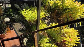 Apartment, 2 Bedrooms, Smoking, Balcony | Garden