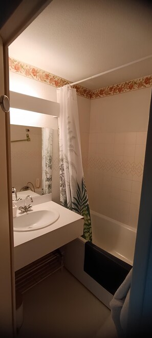 Hair dryer - Le 20cts - T3 with balcony and terrace (Bagnères-de-Bigorre)