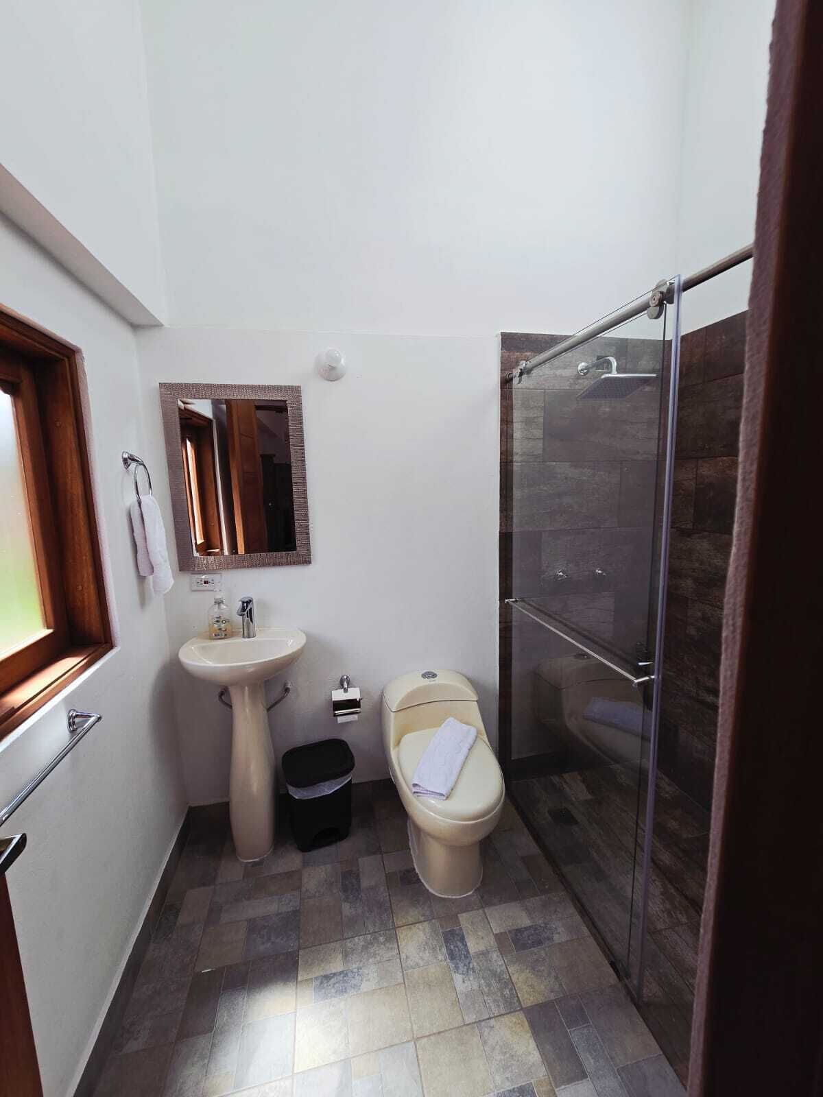 Une petite salle de bain comprenant un lavabo sur colonne, des toilettes et une douche à parois de verre.