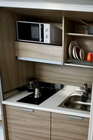 Microwave, stovetop - One Bedroom Apartment with Terrace (TERRASINI)