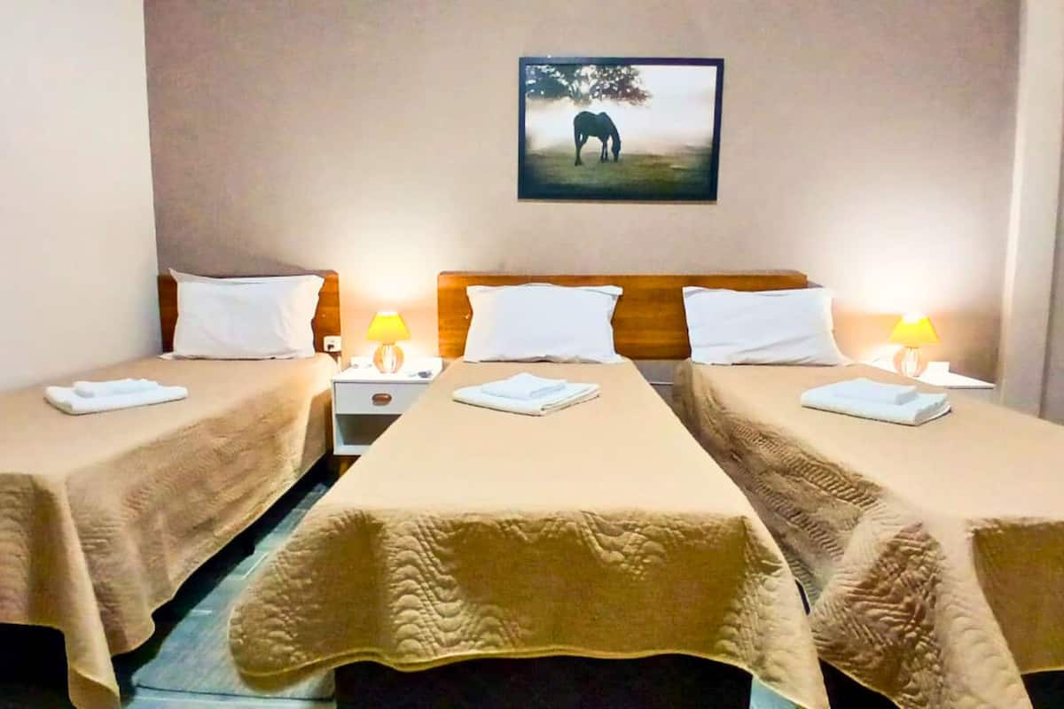 Classic Triple Room, Courtyard View | Pillow-top beds, iron/ironing board, free WiFi, bed sheets