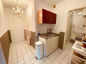 Cocina compacta con estufa, lavamanos y armarios, un cubo de basura y zona de ducha.