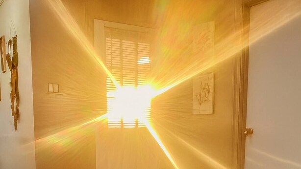 A hallway with wooden flooring, a white door, and a rug. - Midcity Sunrise (Lake Charles)