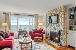 TV, fireplace, books, music library