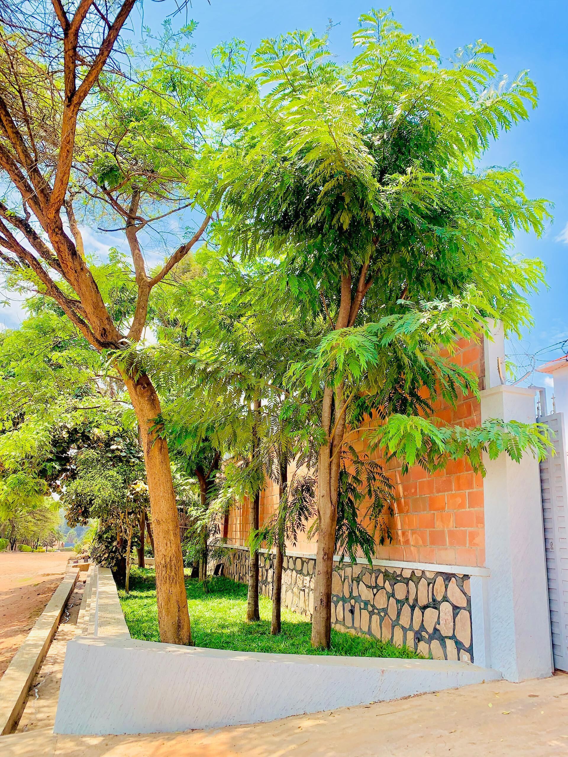 Jardines del alojamiento