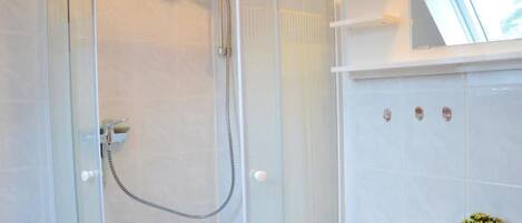 Une salle de bain moderne avec une douche à parois de verre, un lavabo blanc et une petite plante en pot posée sur le meuble-lavabo.