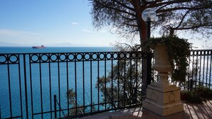 Une vue sur la côte, avec un navire à l’horizon, une clôture en métal et une balustrade en pierre ornée de verdure.