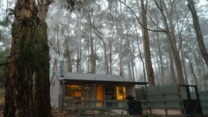 A cabin with a visible chimney, surrounded by tall trees and fog. - The Duckling quintessential bush retreat set amongst towering gums. One bedroom - dog friendly (Wheatsheaf)