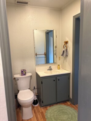Shower, towels, soap, toilet paper - Driftwood Cove Cottage - 2mi from lake (Buffalo Junction)