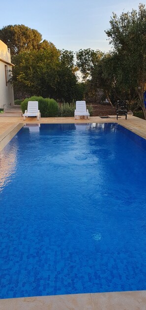 Pool - Villa Yassalam Mogador 13km from Essaouira with private pool. Calm and serenity (Essaouira)