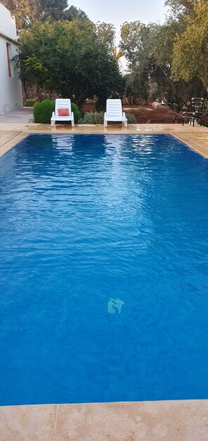 Pool - Villa Yassalam Mogador 13km from Essaouira with private pool. Calm and serenity (Essaouira)