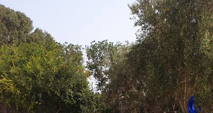 Villa Yassalam Mogador à 13km d'Essaouira avec piscine privée. Calme et Sérénité