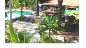 Pool - Colibri Cabina - Jungle Cabina with Pool Access (Cabuya)