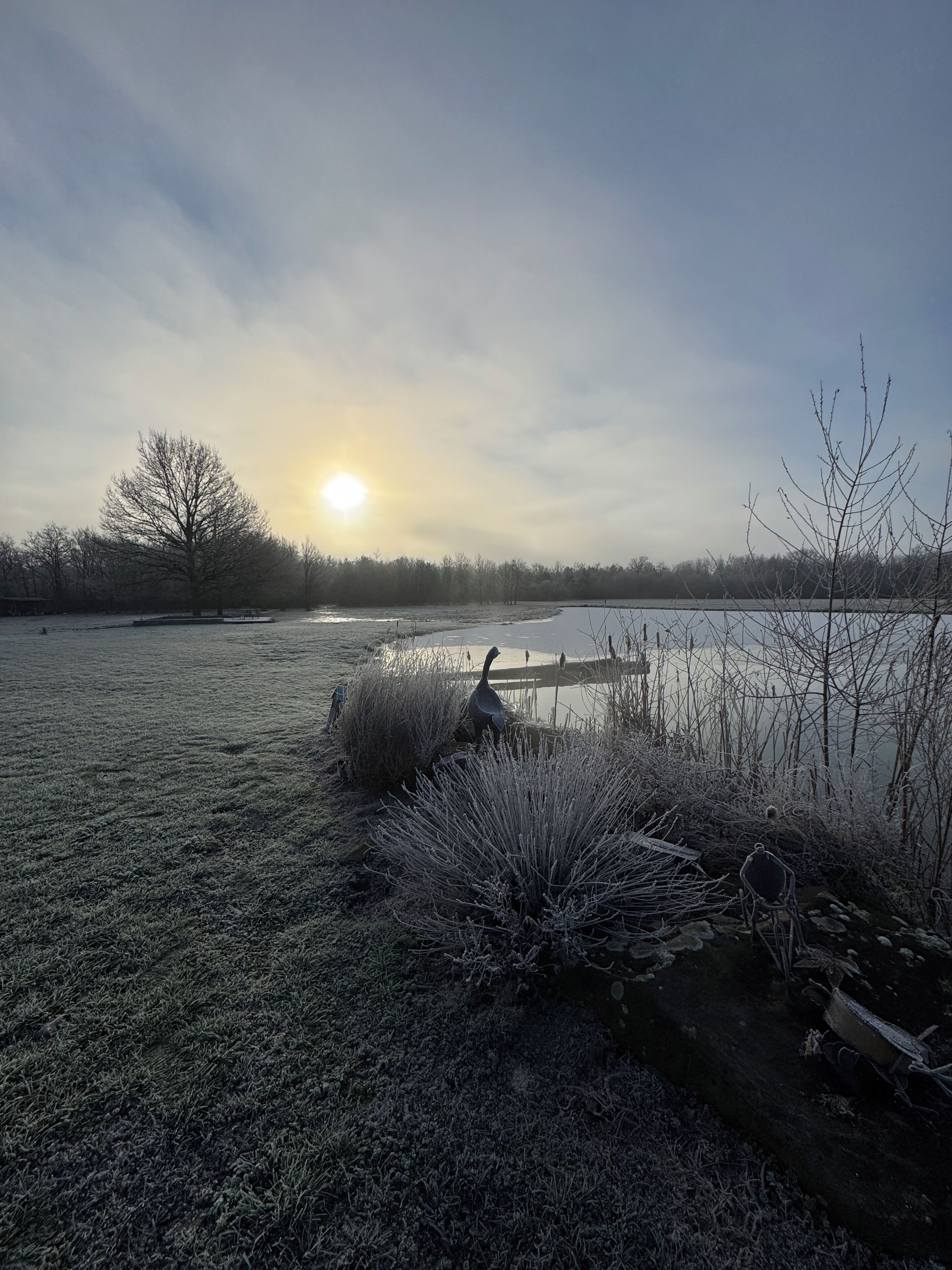 A frost-covered landscape with a body of water, trees, and a wooden structure.