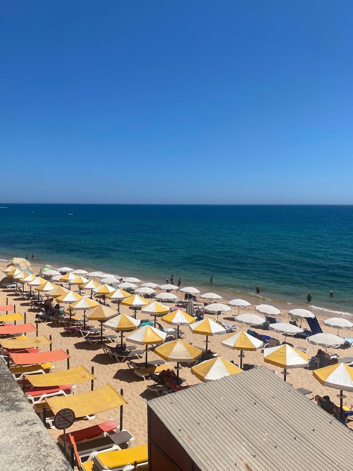 Imagen de perfil del propietario o de la propietaria