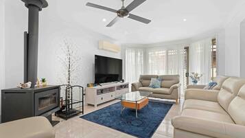 TV, fireplace