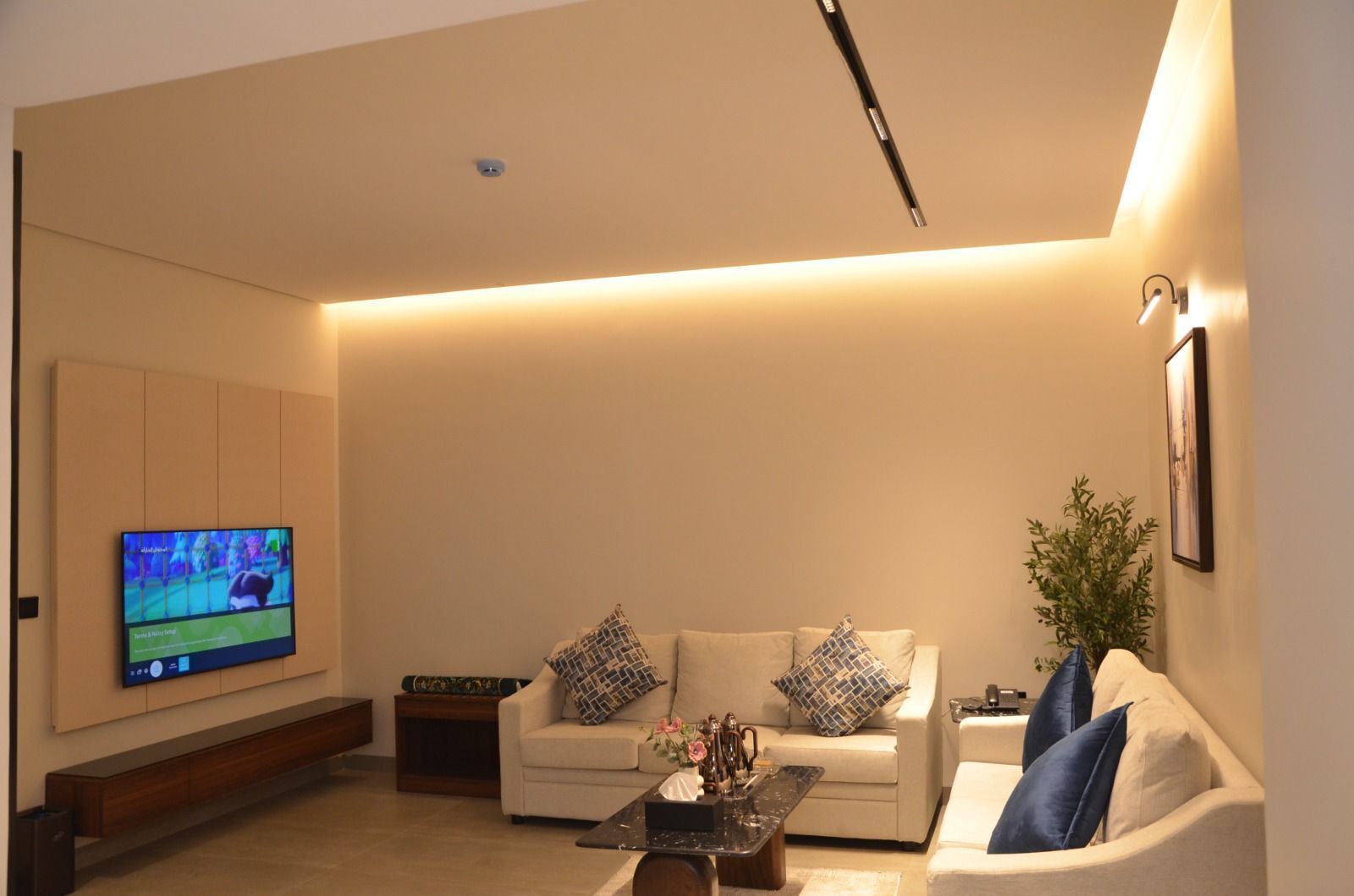 A modern living room with a flat-screen TV mounted on the wall, two sofas with patterned cushions, a coffee table, and a potted plant.