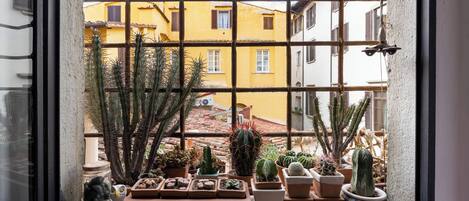 公寓 (2 Bedrooms) | 城景