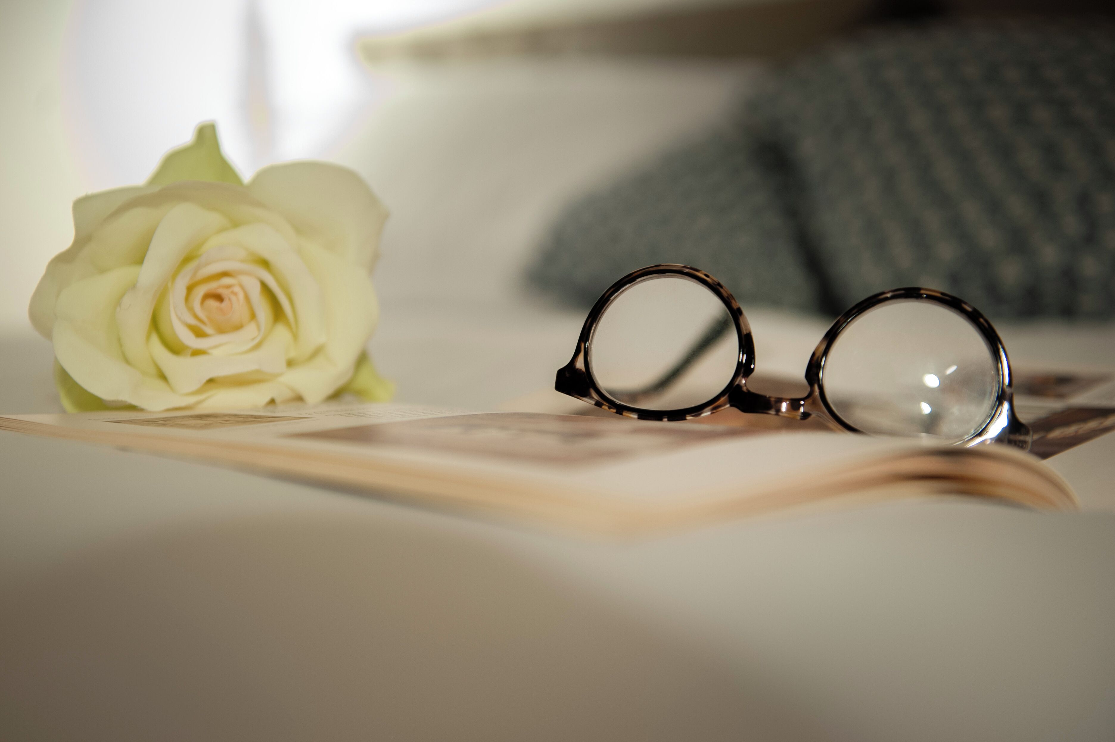 A book, a pair of glasses, and a white rose on a surface.