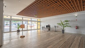 Tilava aula, jossa on puinen katto, suuret ikkunat ja ruukuissa olevia kasveja.