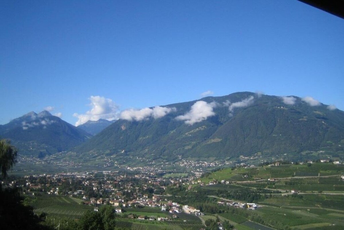 Imagen de perfil del propietario o de la propietaria