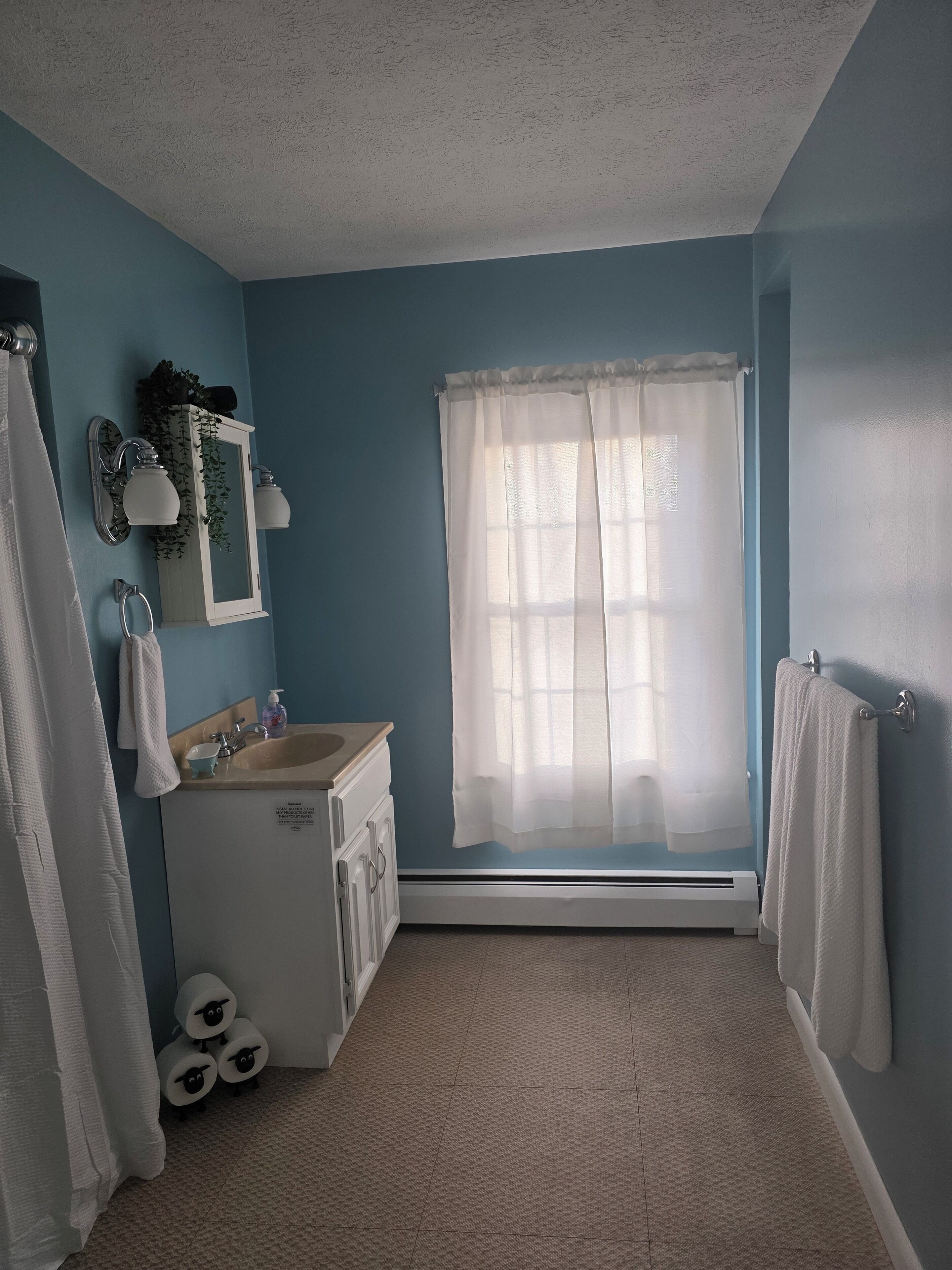 Een haardroger, handdoeken, zeep, toiletpapier