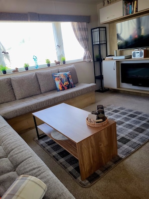 Smart TV, fireplace, video games, DVD player