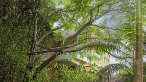 Un giardino rigoglioso con vegetazione fitta e un edificio con tetto di paglia.
