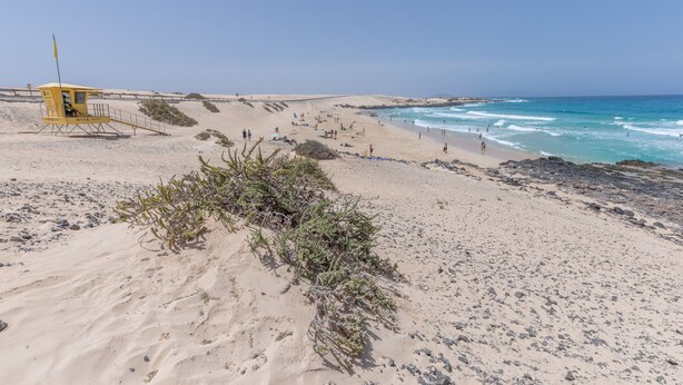A beach with a lifeguard tower, sandy dunes, and the ocean. - Vacation Villa 'Atlantic Ocean Private Pool' with Sea View and Wi-Fi (Corralejo)