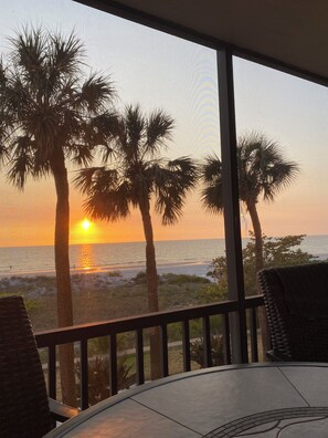 Property grounds - Beachfront 2BR/2Bath Condo on the Gulf, Indian Rocks Beach, Florida (Indian Rocks Beach)
