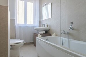 Shower, hair dryer, bidet, towels