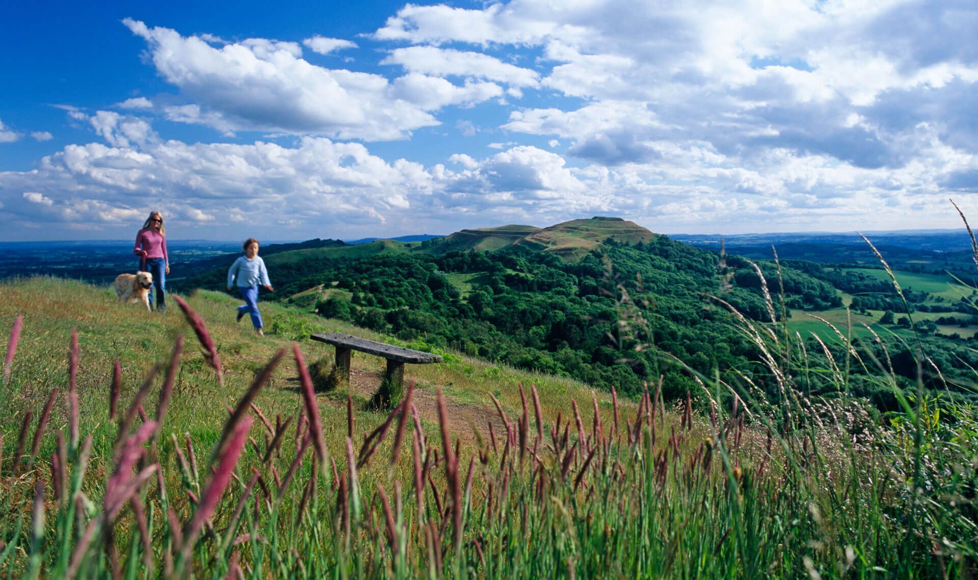 Une colline verdoyante avec un banc et une personne qui promène un chien.