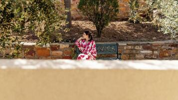 A person sitting on a bench with a brick wall and a small tree in the background.