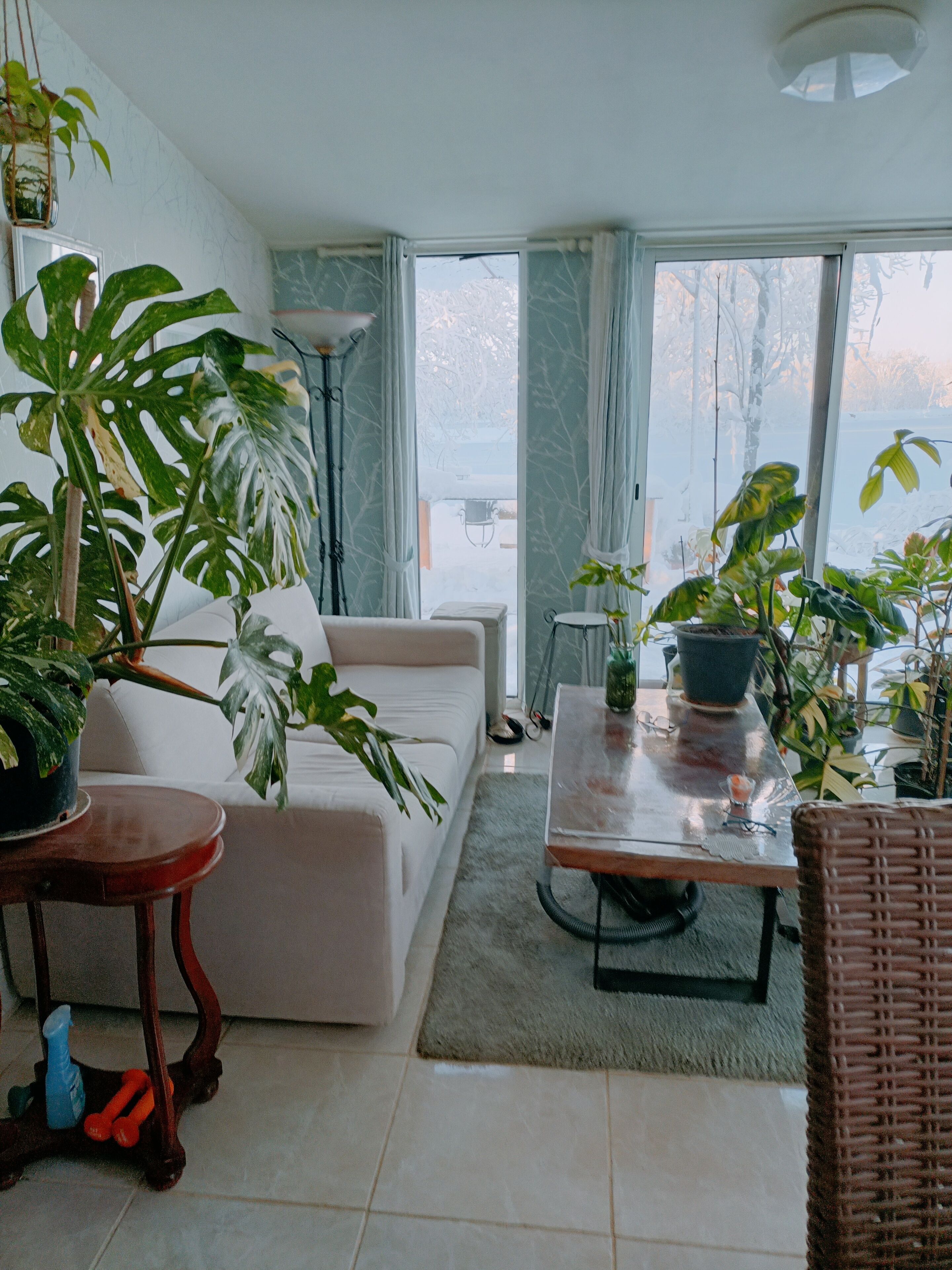 Área de sala de estar