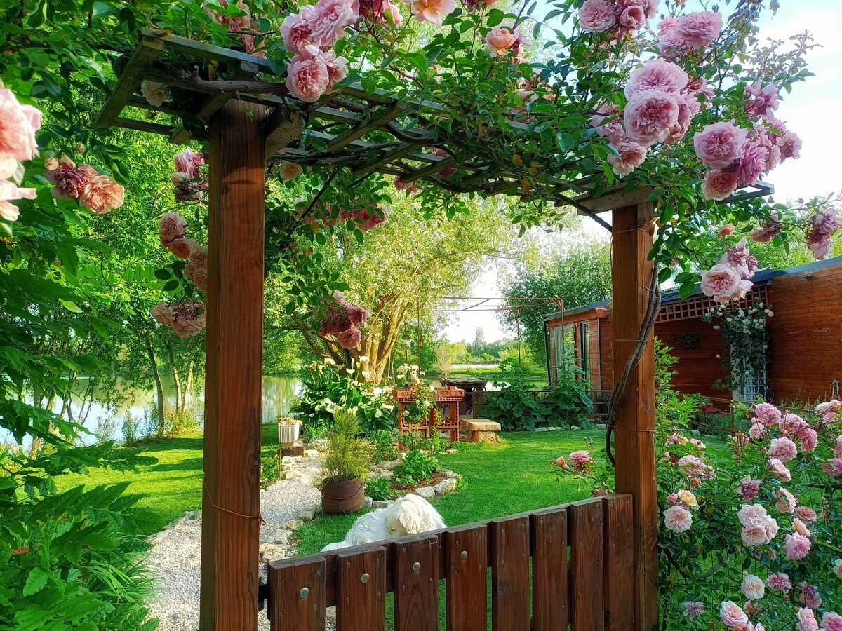 Bild für Gastgeberprofil