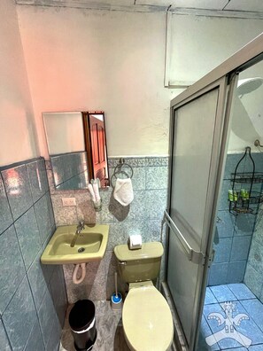 Dusche, Handtücher, Seife, Toilettenpapier