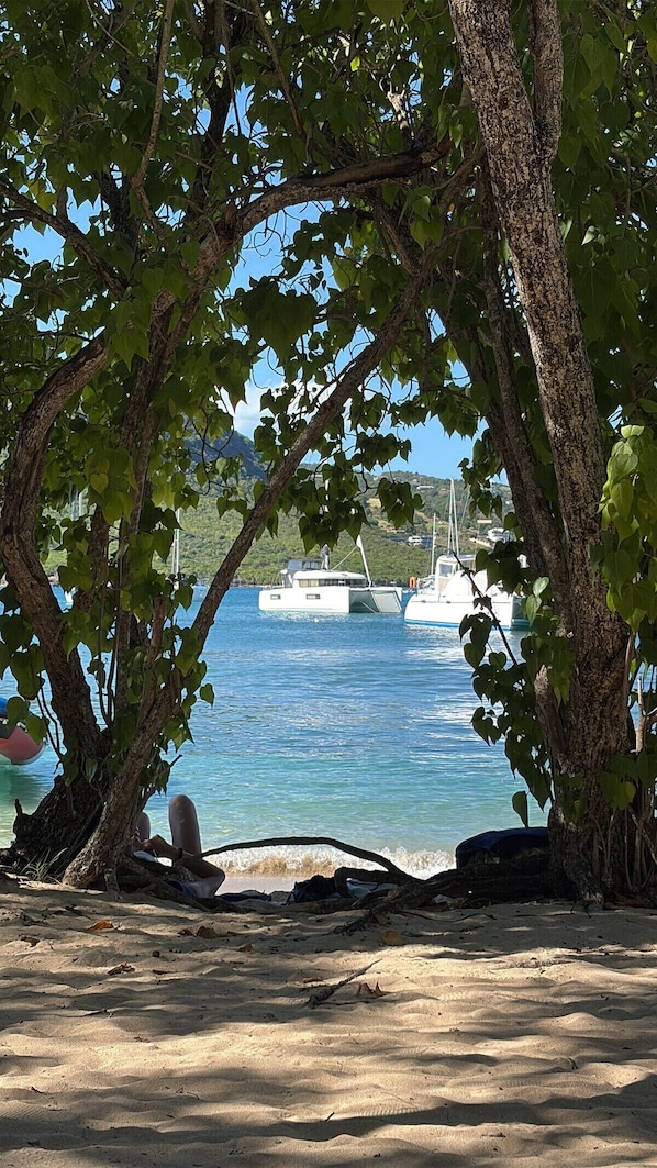 Imagen sin descripción, 1 de 56, botón