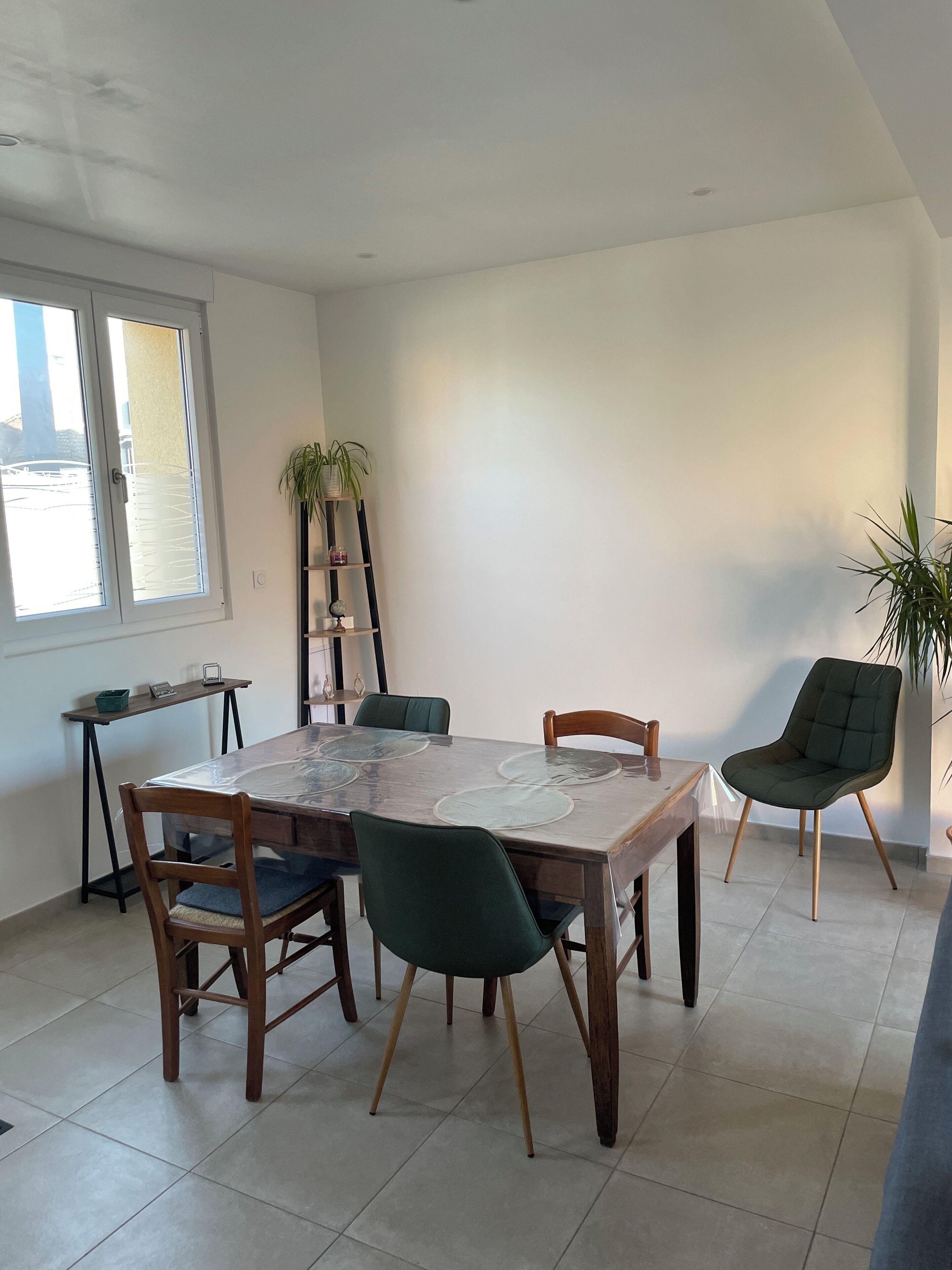 A dining area with a table, chairs, and a potted plant.