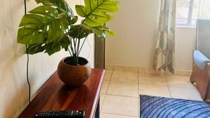 A room with a TV mounted on the wall, a potted plant on a wooden table, a bed with a blue patterned bedspread, and a window with a curtain. - Modern Studio in Greendale - 2337 (Harare)