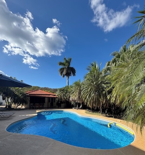 Pool - Spacious 5-bedroom villa with private pool and ocean view (Provincia de Guanacaste)