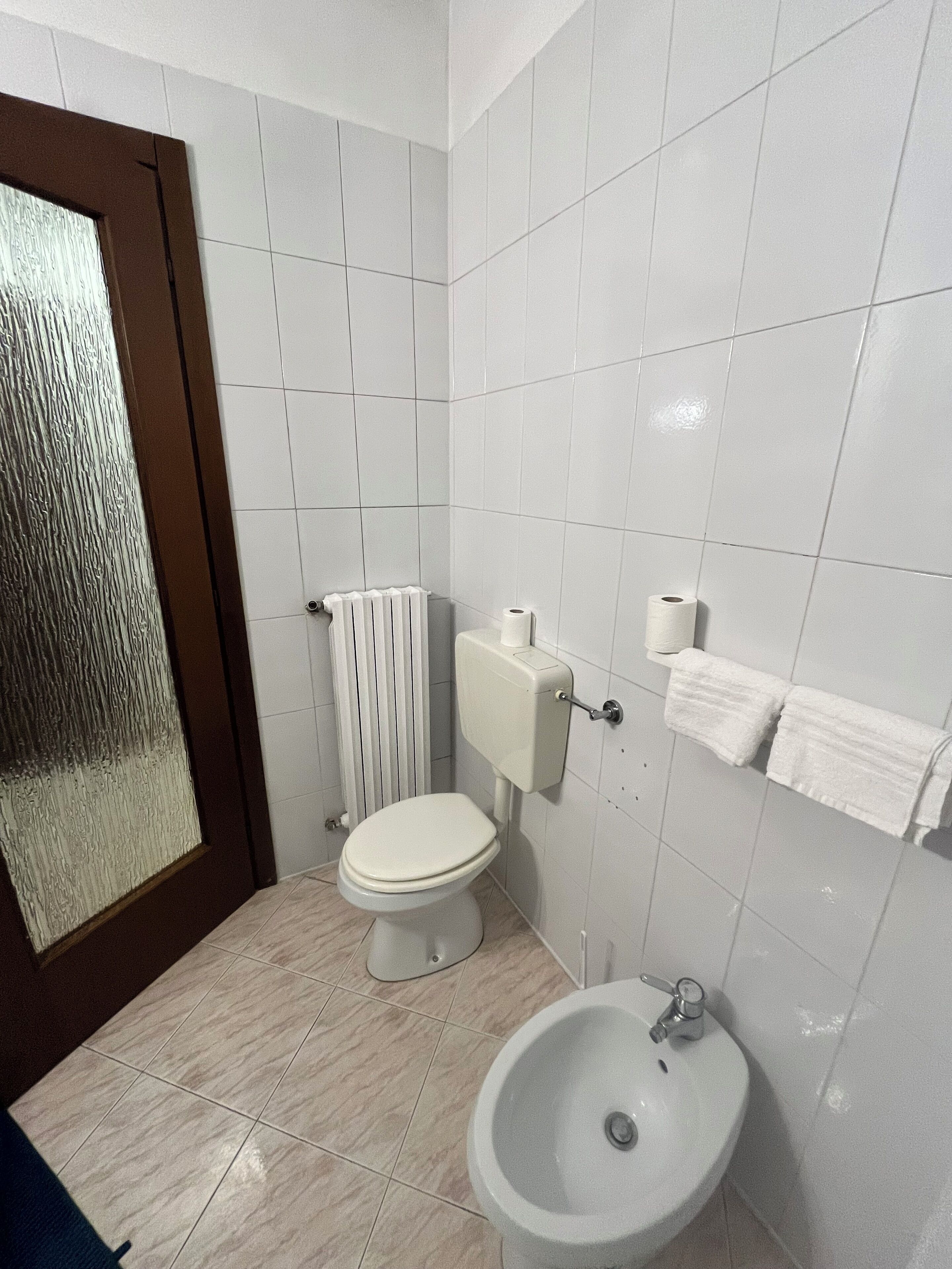 Room | Bathroom | Shower, free toiletries, hair dryer, bidet
