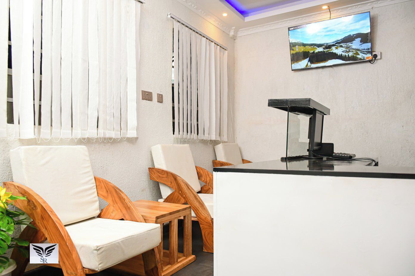 A reception area with a counter, two wooden chairs with cushions, a television mounted on the wall, and a plant on the left.
