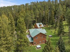 A two-story log cabin with a green roof, surrounded by dense forest.