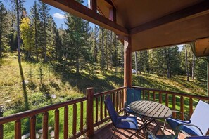 Outdoor dining - 2 bedroom, 2 bathroom, 4 bed, Starlink, Hottub (Nemo)