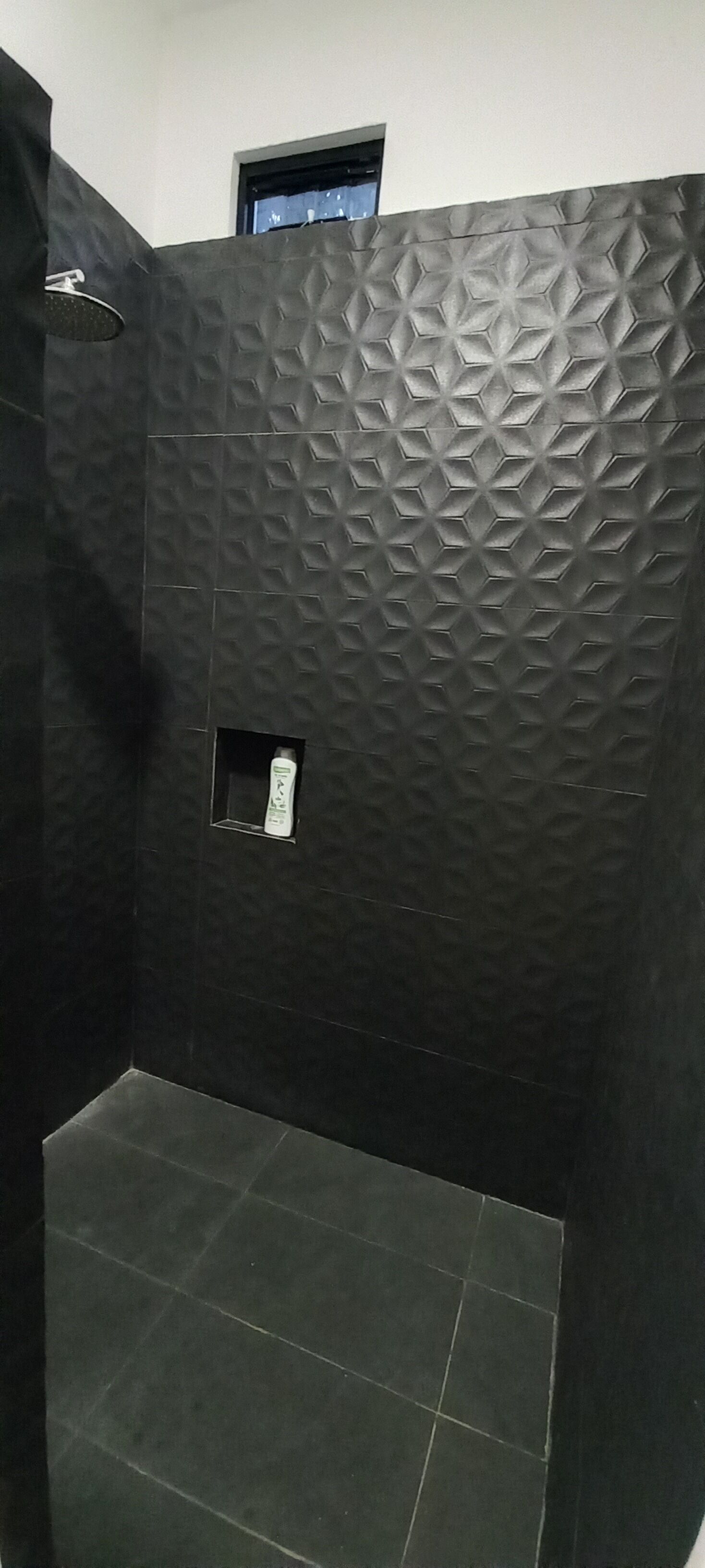 Shower, towels, toilet paper