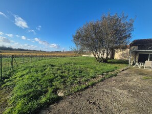 Property grounds - House in the heart of the vineyards (Montagne)