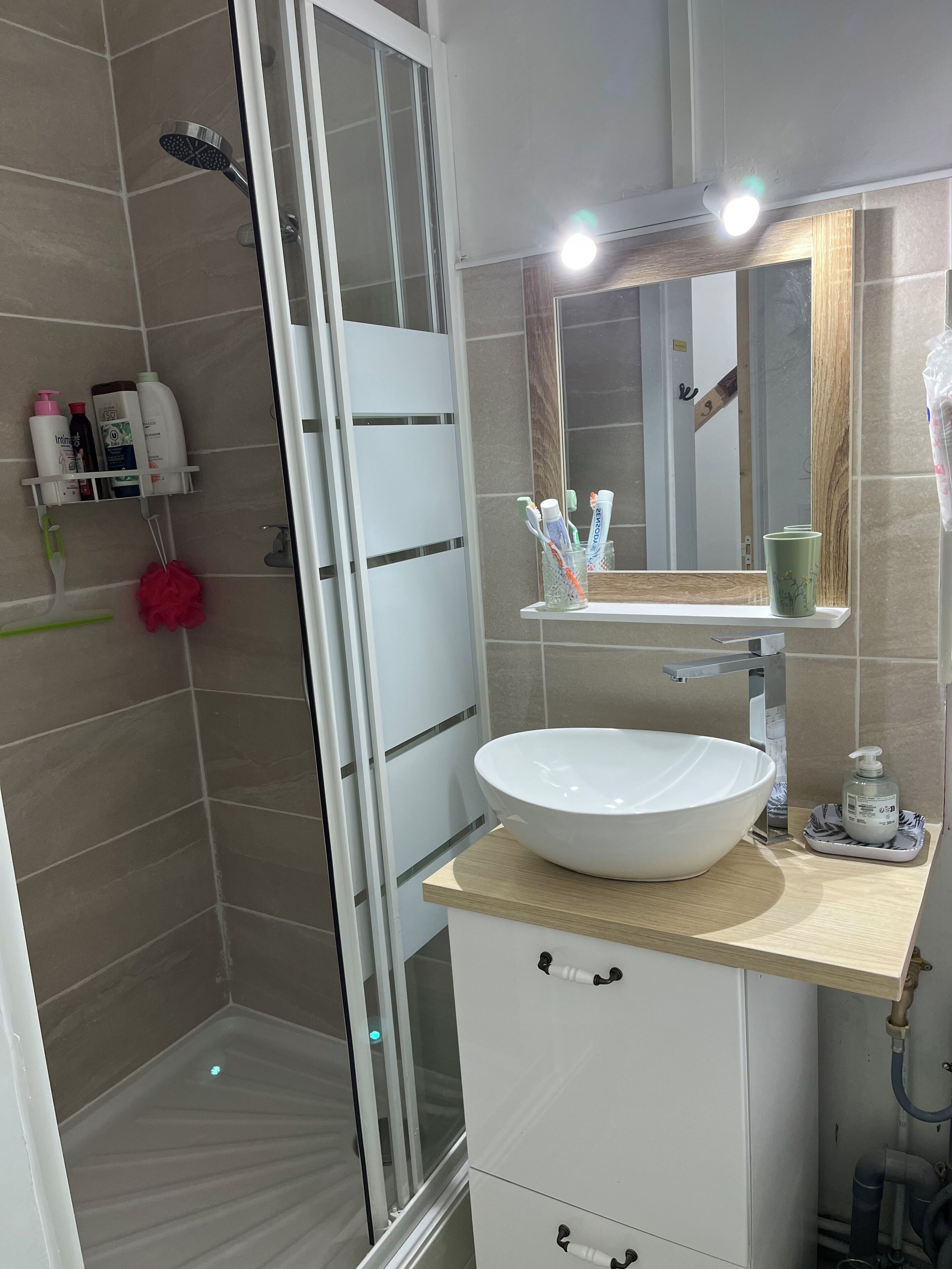 Dusche, Haartrockner, Seife, Toilettenpapier