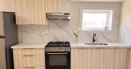 Modern 1-bedroom, upgraded, close to amenities, TTC at doorstep, big backyard
